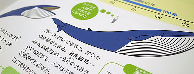 whale_book_sugata02.jpg